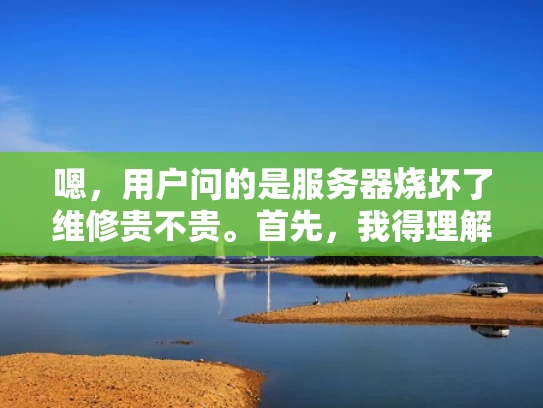 嗯，用户问的是服务器烧坏了维修贵不贵。首先，我得理解用户的需求。他们可能刚遇到服务器烧坏的问题，不知道该怎么处理，所以想了解维修费用。我需要先解释服务器烧坏的原因，这样用户能明白问题所在
