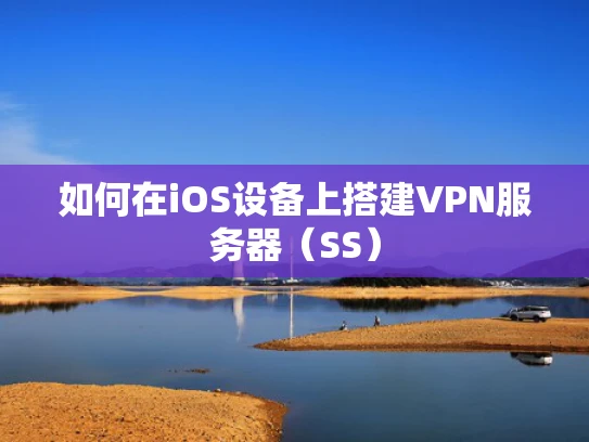 如何在iOS设备上搭建VPN服务器（SS）
