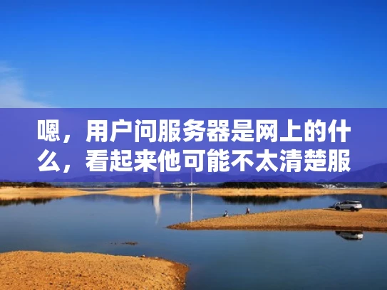 嗯，用户问服务器是网上的什么，看起来他可能不太清楚服务器在互联网中的角色和功能。首先，我得解释服务器是什么，它在互联网中的作用是什么，以及它如何帮助用户