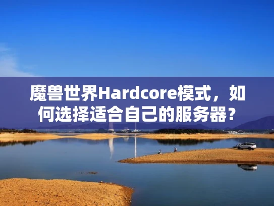 魔兽世界Hardcore模式，如何选择适合自己的服务器？