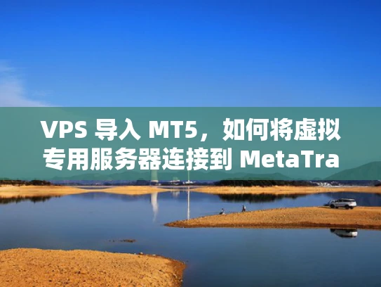 VPS 导入 MT5，如何将虚拟专用服务器连接到 MetaTrader 5