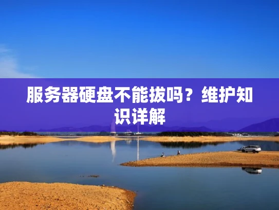 服务器硬盘不能拔吗？维护知识详解