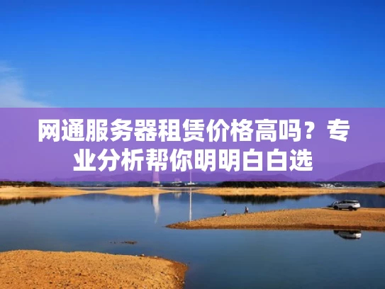 网通服务器租赁价格高吗？专业分析帮你明明白白选