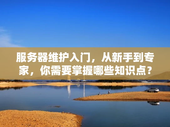 服务器维护入门，从新手到专家，你需要掌握哪些知识点？