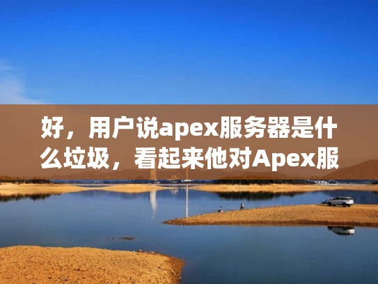 好，用户说apex服务器是什么垃圾，看起来他对Apex服务器有负面看法。首先，我需要解释Apex服务器是什么，然后指出它的不足之处，这样用户才能全面了解