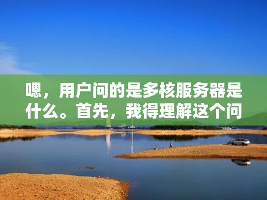 嗯，用户问的是多核服务器是什么。首先，我得理解这个问题。多核服务器应该是指拥有多个处理器核心的服务器，这样可以同时处理更多的任务，对吧？