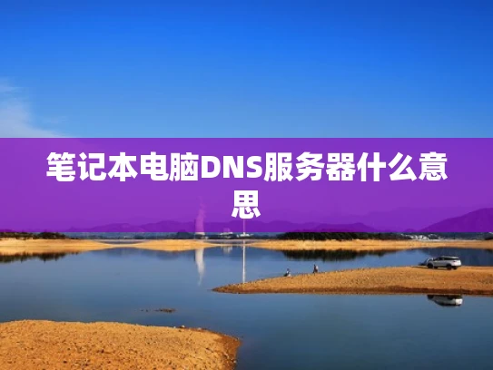笔记本电脑DNS服务器什么意思