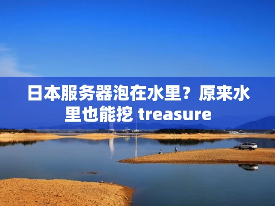 日本服务器泡在水里？原来水里也能挖 treasure