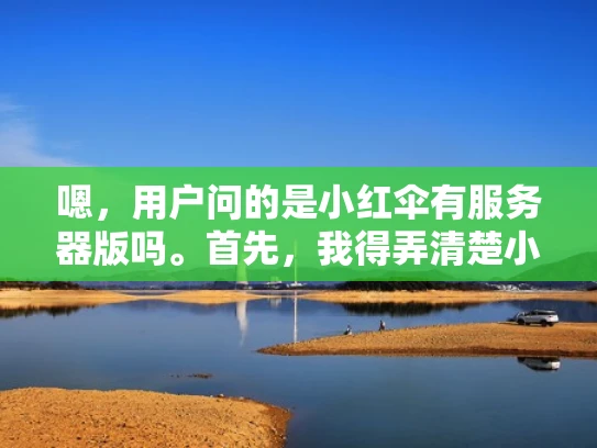 嗯，用户问的是小红伞有服务器版吗。首先，我得弄清楚小红伞是什么。小红伞是中国的网络过滤软件，主要用于屏蔽不良信息，保护未成年人。它主要通过软件的形式运行，用户安装后就能使用
