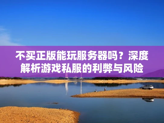 不买正版能玩服务器吗？深度解析游戏私服的利弊与风险