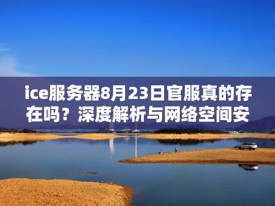 ice服务器8月23日官服真的存在吗？深度解析与网络空间安全技术探讨
