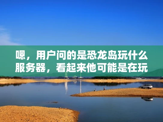 嗯，用户问的是恐龙岛玩什么服务器，看起来他可能是在玩恐龙岛这个游戏，想要了解游戏中的服务器情况。首先，我需要确定他具体是想了解游戏中的服务器类型还是游戏本身的相关信息