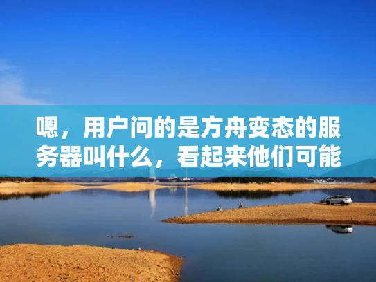 嗯，用户问的是方舟变态的服务器叫什么，看起来他们可能在寻找某种游戏或者软件中的服务器名字。首先，我需要确定方舟指的是什么。可能是指方舟，生存进化这个游戏，或者可能是其他与方舟相关的项目