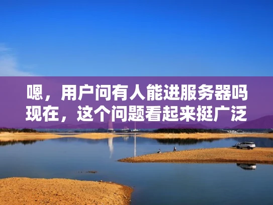 嗯，用户问有人能进服务器吗现在，这个问题看起来挺广泛的。首先，我需要理解用户的具体需求。可能用户想了解如何进入服务器，或者服务器的权限管理是什么样的。考虑到用户可能不是技术人员，我需要用大白话来解释