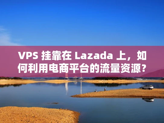 VPS 挂靠在 Lazada 上，如何利用电商平台的流量资源？