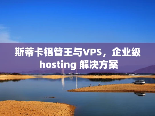 斯蒂卡铝管王与VPS，企业级 hosting 解决方案