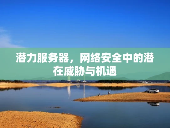 潜力服务器，网络安全中的潜在威胁与机遇