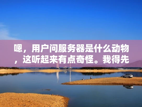 嗯，用户问服务器是什么动物，这听起来有点奇怪。我得先理解这个问题。可能用户对服务器不太了解，或者想用比喻来更好地理解服务器的作用