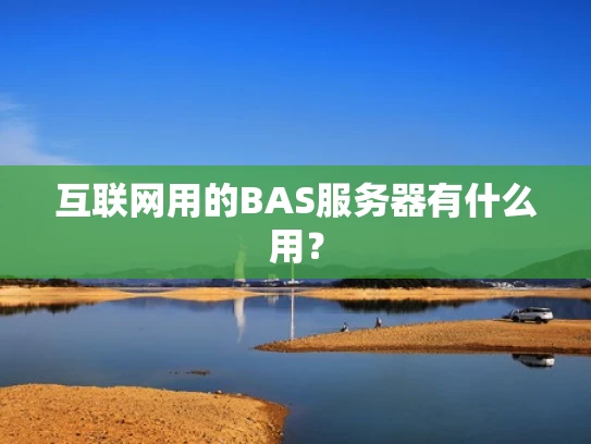 互联网用的BAS服务器有什么用？