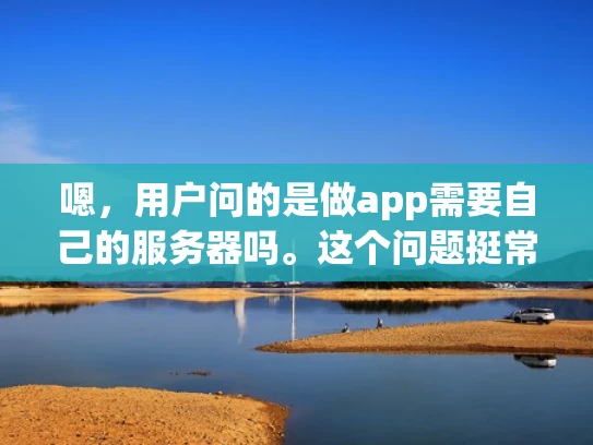 嗯，用户问的是做app需要自己的服务器吗。这个问题挺常见的，我得先理清楚用户的需求。可能用户是个开发者，或者是一个刚开始创业的人，他们可能在考虑开发一个应用程序，但对服务器的需求不太清楚