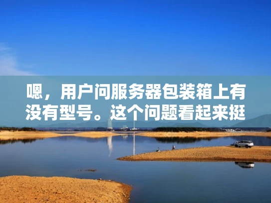 嗯，用户问服务器包装箱上有没有型号。这个问题看起来挺直接的，但作为一个刚开始接触服务器的人，可能对这个细节不太清楚。首先，我需要解释一下服务器包装箱的作用，以及为什么会有或没有型号的信息