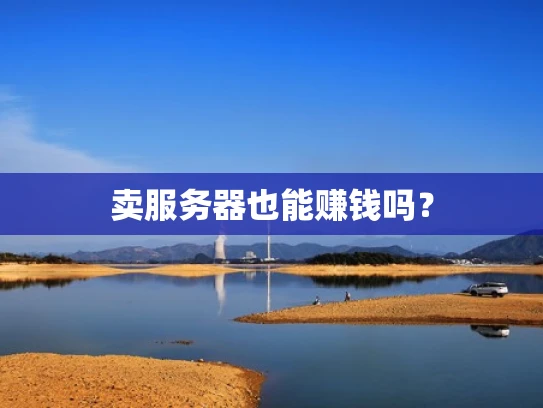 卖服务器也能赚钱吗？