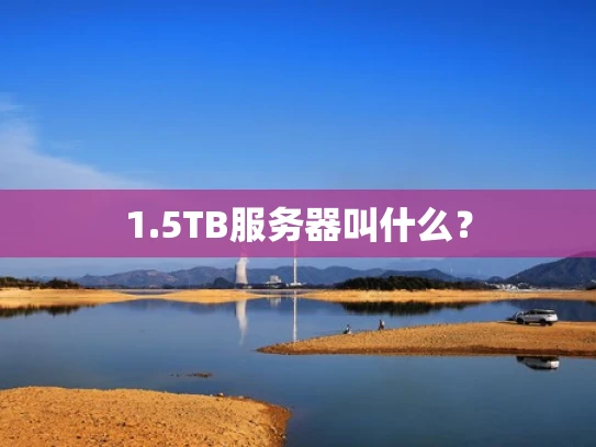 1.5TB服务器叫什么？