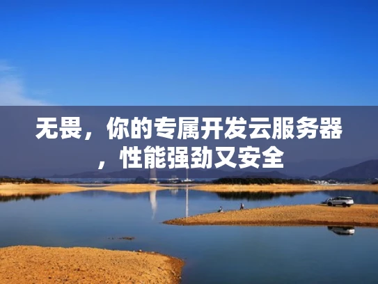 无畏，你的专属开发云服务器，性能强劲又安全