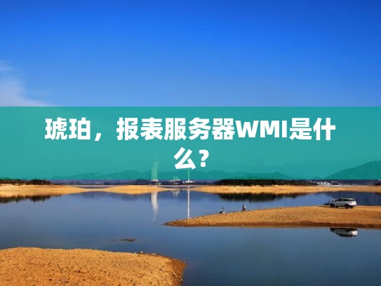 琥珀，报表服务器WMI是什么？