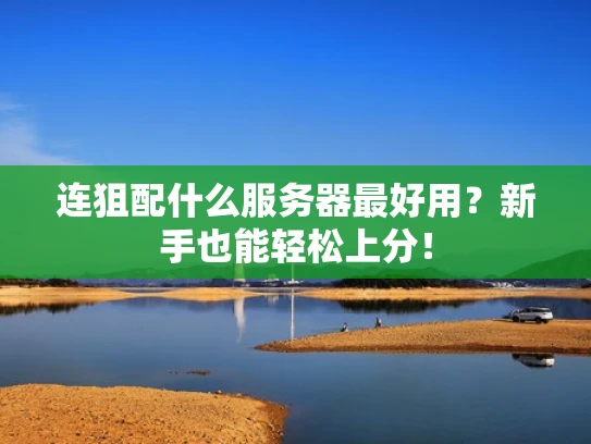 连狙配什么服务器最好用？新手也能轻松上分！