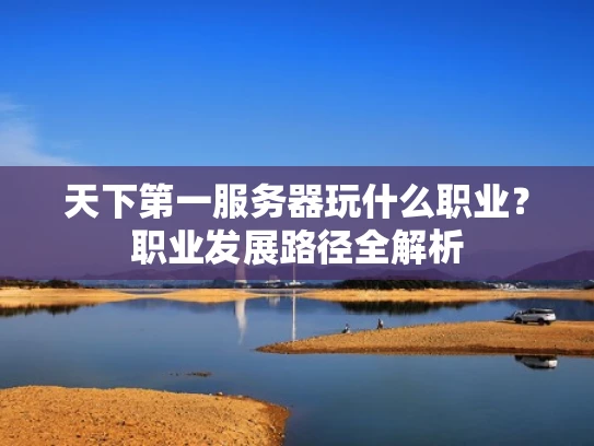 天下第一服务器玩什么职业？职业发展路径全解析