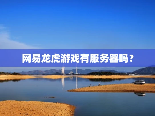 网易龙虎游戏有服务器吗？