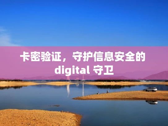 卡密验证，守护信息安全的 digital 守卫