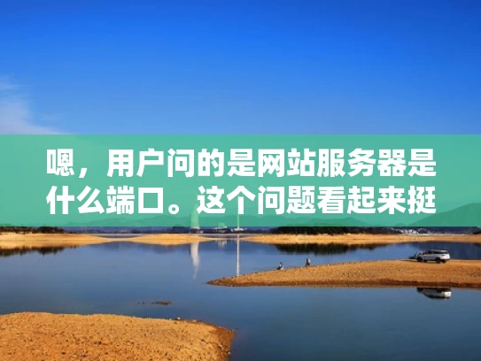 嗯，用户问的是网站服务器是什么端口。这个问题看起来挺基础的，但作为专业网络安全人员，我得详细解释一下，确保用户全面了解