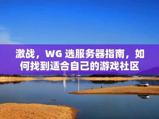 激战，WG 选服务器指南，如何找到适合自己的游戏社区