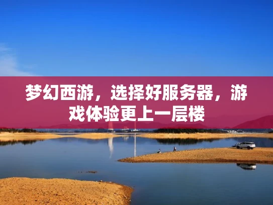 梦幻西游，选择好服务器，游戏体验更上一层楼