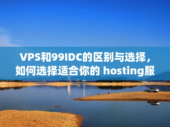 VPS和99IDC的区别与选择，如何选择适合你的 hosting服务？
