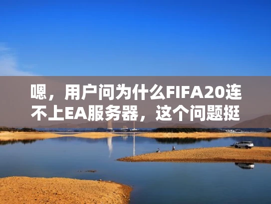 嗯，用户问为什么FIFA20连不上EA服务器，这个问题挺常见的。首先，我得考虑用户可能的使用环境。他们可能在玩FIFA20的时候突然无法加载游戏，或者网络连接有问题