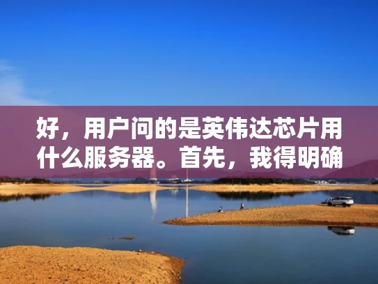 好，用户问的是英伟达芯片用什么服务器。首先，我得明确英伟达的芯片主要是用于高性能计算和AI训练，所以他们应该使用专门的服务器来支持这些任务