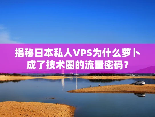 揭秘日本私人VPS为什么萝卜成了技术圈的流量密码？