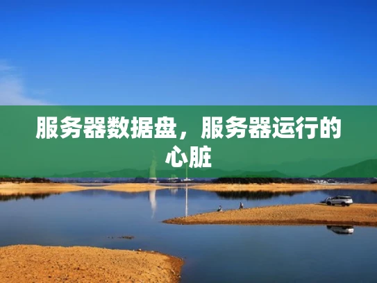 服务器数据盘，服务器运行的心脏