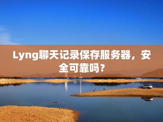 Lyng聊天记录保存服务器，安全可靠吗？
