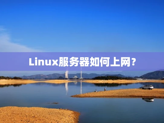 Linux服务器如何上网？