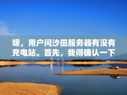 嗯，用户问沙田服务器有没有充电站。首先，我得确认一下沙田 server是什么地方。沙田可能是指某个特定的服务器提供商，或者是一个特定的数据中心。可能用户是想了解他们提供的服务器设施中是否有充电服务