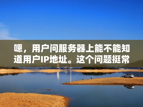 嗯，用户问服务器上能不能知道用户IP地址。这个问题挺常见的，我得先理清楚用户的需求。可能用户是普通用户，或者刚接触网络技术的人，想知道服务器能否获取他们的IP