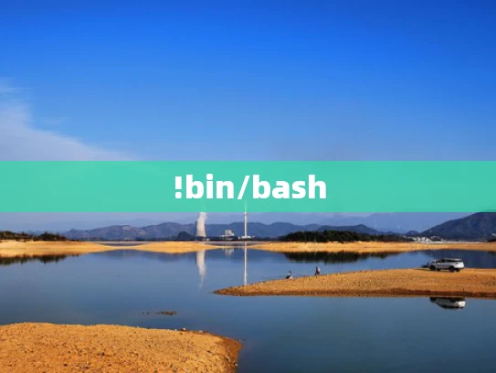 !bin/bash
