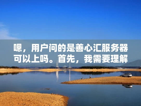 嗯，用户问的是善心汇服务器可以上吗。首先，我需要理解善心汇是什么。可能是一个特定的服务器管理平台或者服务，但我不太确定。所以，我应该先解释一下善心汇是什么，然后讨论服务器上架的问题