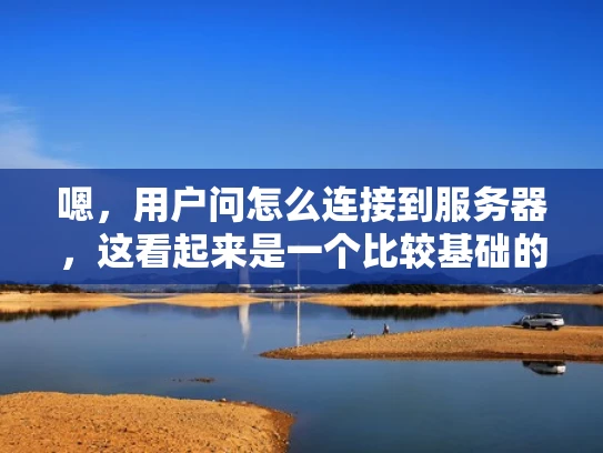 嗯，用户问怎么连接到服务器，这看起来是一个比较基础的问题，但作为专业的网络安全人员，我需要详细地解释，同时结合体系化的知识和实际例子，用大白话让内容更易懂