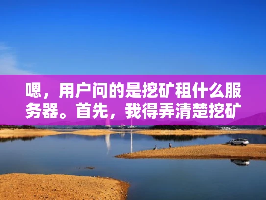 嗯，用户问的是挖矿租什么服务器。首先，我得弄清楚挖矿是什么，挖矿主要是指通过计算力来验证区块链交易，获得奖励。挖矿需要高性能的计算资源，所以用户可能是在考虑租用服务器来参与挖矿