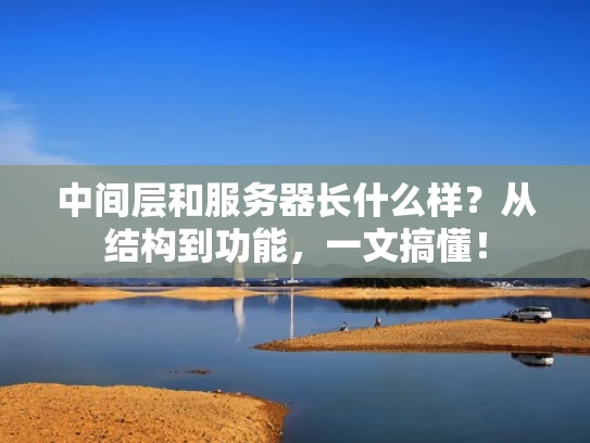 中间层和服务器长什么样？从结构到功能，一文搞懂！